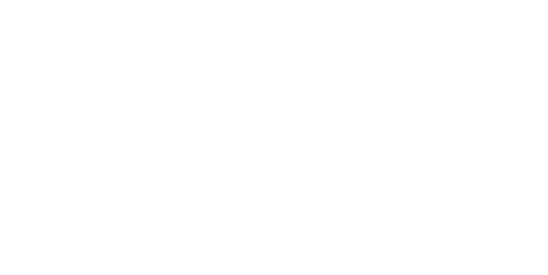 net2fly logo